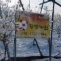 껍질째먹는사과밭 황토농원의 겨울은 하얀 설국입니다.