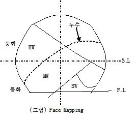 Face Mapping : 네이버 블로그