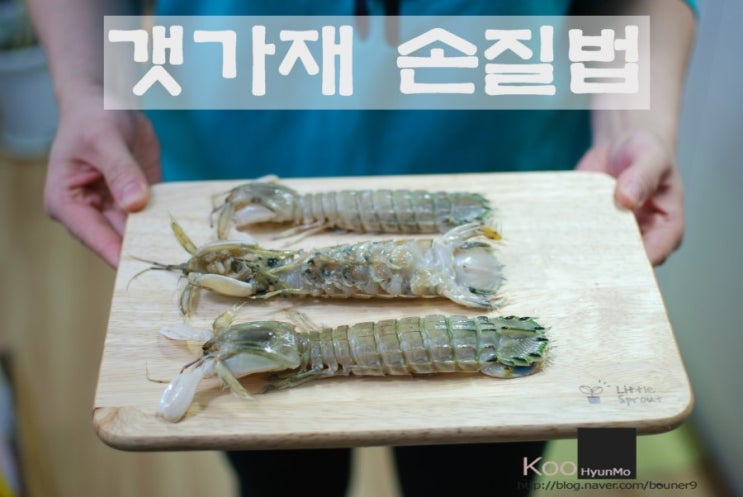 갯가재 손질법 쏙 손질법 /갯가재 주꾸미 찜 : 네이버 블로그