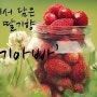 순천전자담배 。마샤 New 액상 "딸기아빠,아포카토" 소개 ^^
