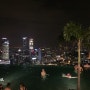 싱가폴여행 + 마리나베이샌즈 호텔 + 수영장 + 야경