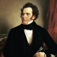 [슈베르트]Franz peter Schubert 1797.1.31/음악여행자의 에피파니/오스트리아 작곡가/가곡의 왕 슈베르트 이야기/슈베르트의 생애/슈베르트 연가곡/슈베르트 겨울 나그네