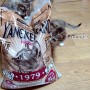 [ 고양이모래 ] 동물사랑APS 양키샌드 체험단 후기
