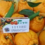 [korea1] 농산물 큐레이터 겨울철 감기 예방에 좋은 과일은 무엇일까요?