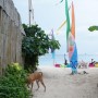 필리핀 보라카이자유여행 가볼만한 비치☆ 아름다운 해변 푸카쉘비치(FUKA SHELL BEACH) 나미비치(NAMI BEACH)
