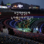 2015보성차밭빛축제 겨울밤 녹차밭의 대향연 :