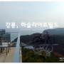 [강릉] 4탄 - 하슬라아트월드 힐링여행 ♬