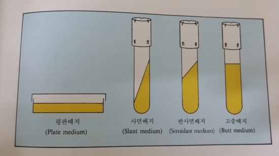 [미생물 실험] 미생물 배양 및 배지 종류(Culture of Bacteria) : 네이버 블로그