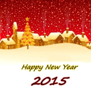 2015년 을미년!! 모두 새해 복 많이 받으세요!!^^