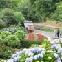 후쿠오카의 아름다운 정원 노코시마 아일랜드 파크 (일본 여행)