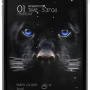 [iPhone 6+] Black Panther Theme [1.0]