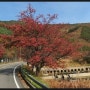 태양광,유실수.호두나무.약초재배.버섯재배.장뇌삼 재배적지이며 2차선도로접 전북 무주군 무풍면 현내리