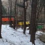 겨울 강씨봉자연휴양림