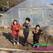 양평 보릿고개마을에서 보리개떡과 손두부 만들고, 얼음 썰매와 딸기 체험을 했네요