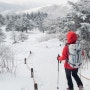 지리산 바래봉 - 2015년 행복하길 바래봉