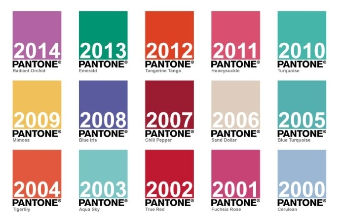 푸시아 팬톤 컬러