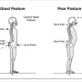 자세교정에서 기본인 스트레칭을 통해서 바른 허리와 척추 자세를 교정할수있는 운동을 해봅시다.