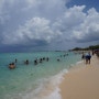 그랜드케이맨 섬 (Grand Cayman) - TORTUGA RUM, Town of Hell, Seven Mile Beach