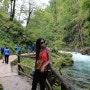 슬로베니아 국립공원 _ 환상 방문기 ㅋㅋㅋ
