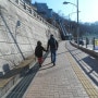 서울나들이 #2 - 남산타워와 오르미 그리고 전망대에 오른 이야기