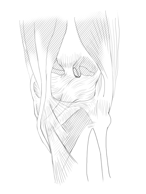 자전거 무릎아픔