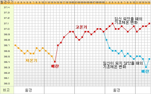 [배란기, 기초체온표] 수원 산부인과 우먼플러스에서 알려드리는 배란기 증상과 배란 시기 예측 방법 : 네이버 블로그