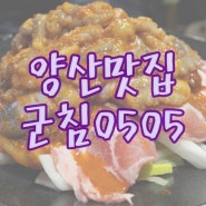 [양산맛집/물금범어맛집] 양산 치즈등갈비&낙돈 추천 "군침0505"