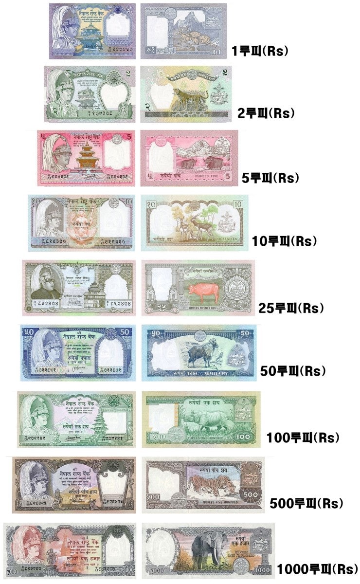 네팔 화폐 : 네이버 블로그