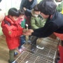 김천에가볼만한곳::토끼농장체험