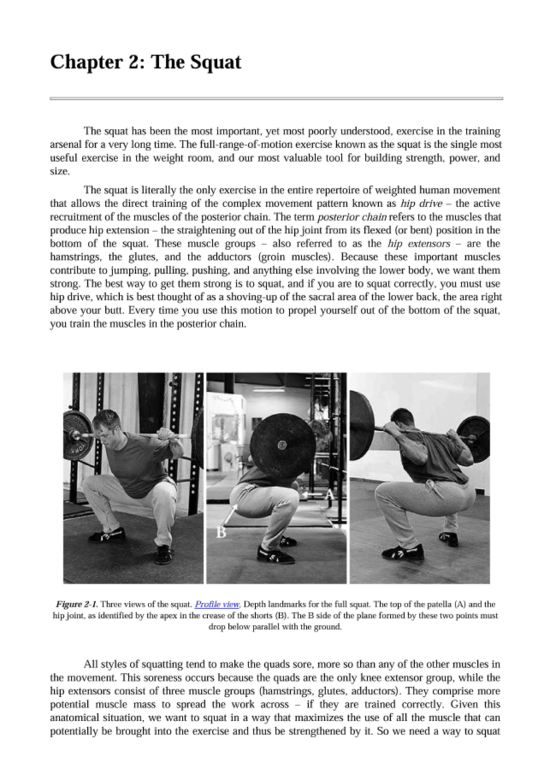 예스~~ 스타팅 스트렝스(starting strength) pdf 파일 구했다!!!! : 네이버 블로그