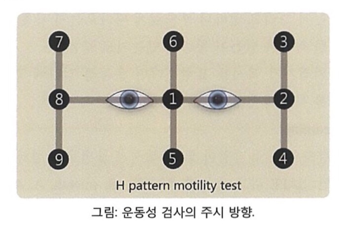 운동성 검사 THE MOTILITY TEST (BROAD H TEST) : 네이버 블로그