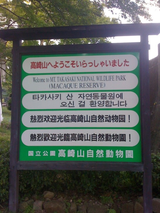 오이타현 타카사키 산 자연동물원 (원숭이 공원)