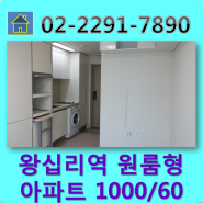 왕십리역 도보 5분 안전하고 깨끗한 풀옵션 원룸형 아파트 1000/60