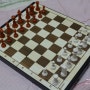 체스 배우기 체스게임 도전 !!!!
