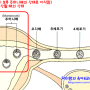 임신테스트기 사용시기와 사용법