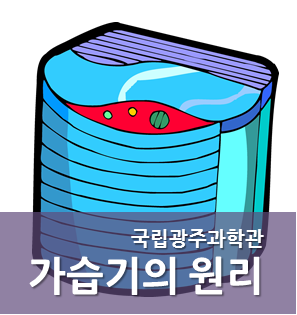 생활 속 과학원리, 가습기의 원리  : 네이버 블로그