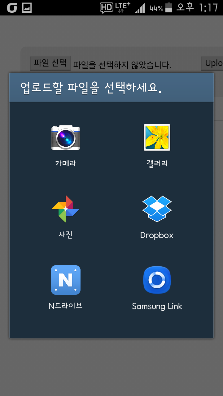 모바일 홈페이지 파일업로드 갤러리 사용 - accept=