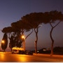 이탈리아로마여행/이탈리아 작곡가 레스피기의 로마의 교향시'로마의 소나무'