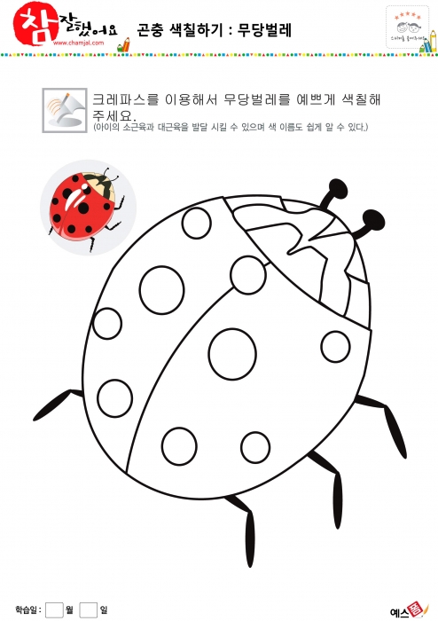 곤충과 벌레 색칠하기놀이