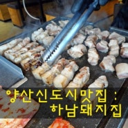 양산신도시맛집, 양산 회식장소로 짱! : 하남돼지집