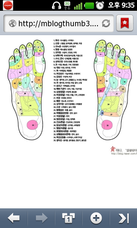 발지압 그림 : 네이버 블로그
