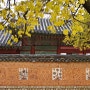 경복궁-2, 경회루, 자경전, 꽃담, Gyeongbokgung Palace in Seoul, November 2014