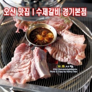 오산 맛집 고기집ㅣ세교동 수제갈비 경기본점