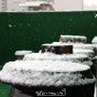 2월의 눈 내리는 옥상