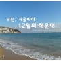 [부산] 8탄 - 겨울바다 12월의 해운대 추억 :D