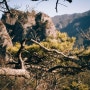 [*IstD] 주왕산국립공원, 나들이등산 #주왕산 #사진 50.4mm