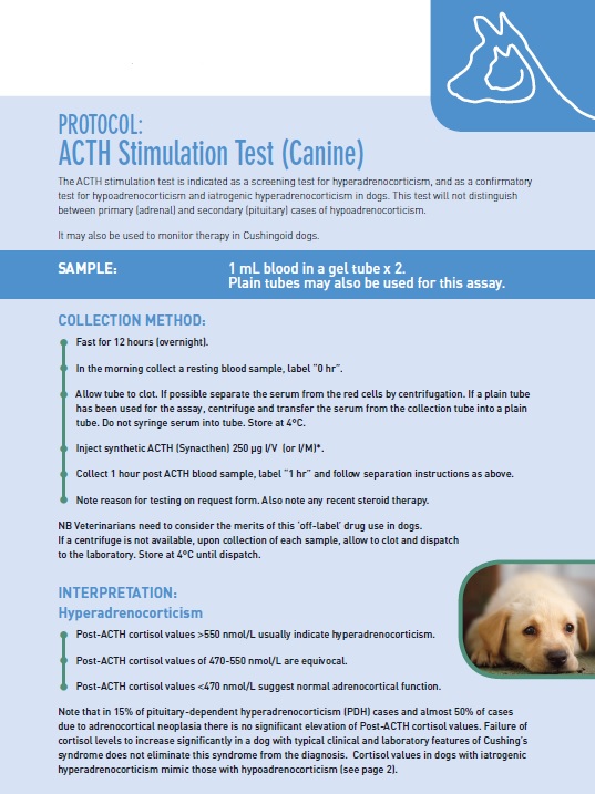 what is an acth stimulation test for dogs