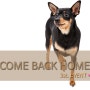 (이벤트) 지나와 라라가 돌아왔다!! ♥COME BACK HOME! EVENT♥