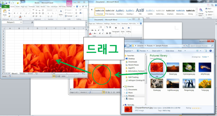 copying-images-from-file-explorer-to-excel