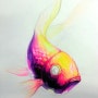 대연동 시각미술학원 / 디자인/ 물감으로 물고기 개체표현하기